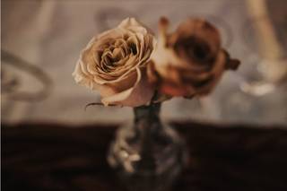 Stem Story - DIY Flowers - 5