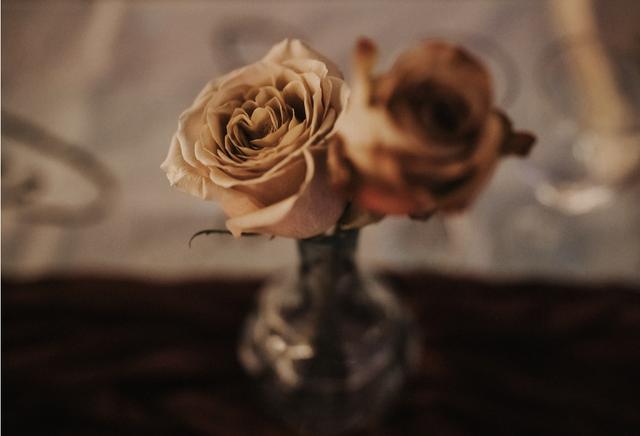 Stem Story - DIY Flowers - 1