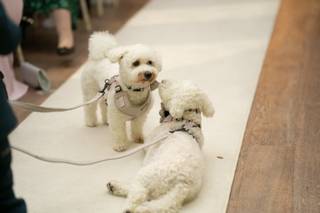 Different Angle Photography - 26