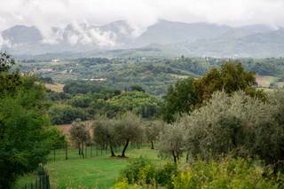 Tenuta di Rota - 11