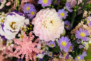 Emporium Flowers - 5