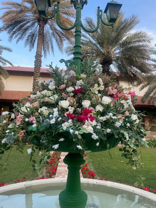 Olivara Blooms - 2