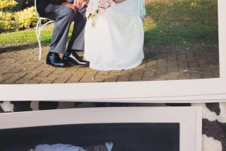 Mark Francis Photography - 6