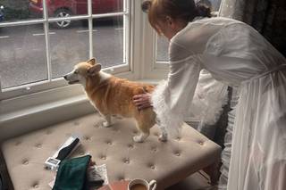Healthy Paws - Dog Wedding Chaperone Service - 5