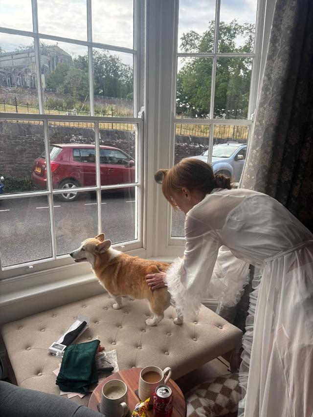 Healthy Paws - Dog Wedding Chaperone Service - 1