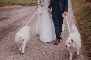 Nettlespie Wedding Photo & Film - 15