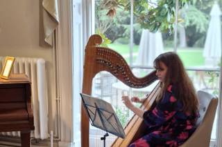 Anna Purver Harpist - 6