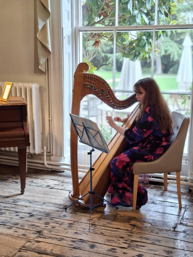 Anna Purver Harpist - 2