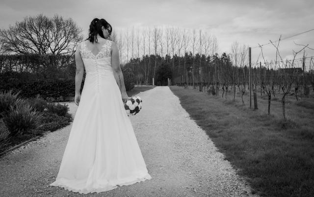 Amor Photography Ltd - 3