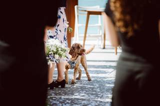 Neil Atkinson Wedding Photography - 5