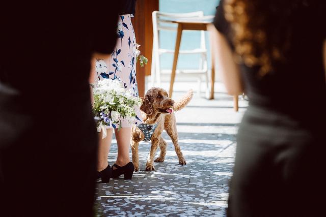 Neil Atkinson Wedding Photography - 1