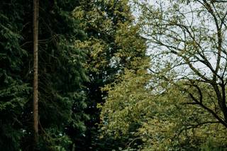 Weddings at Elsham Hall - 6
