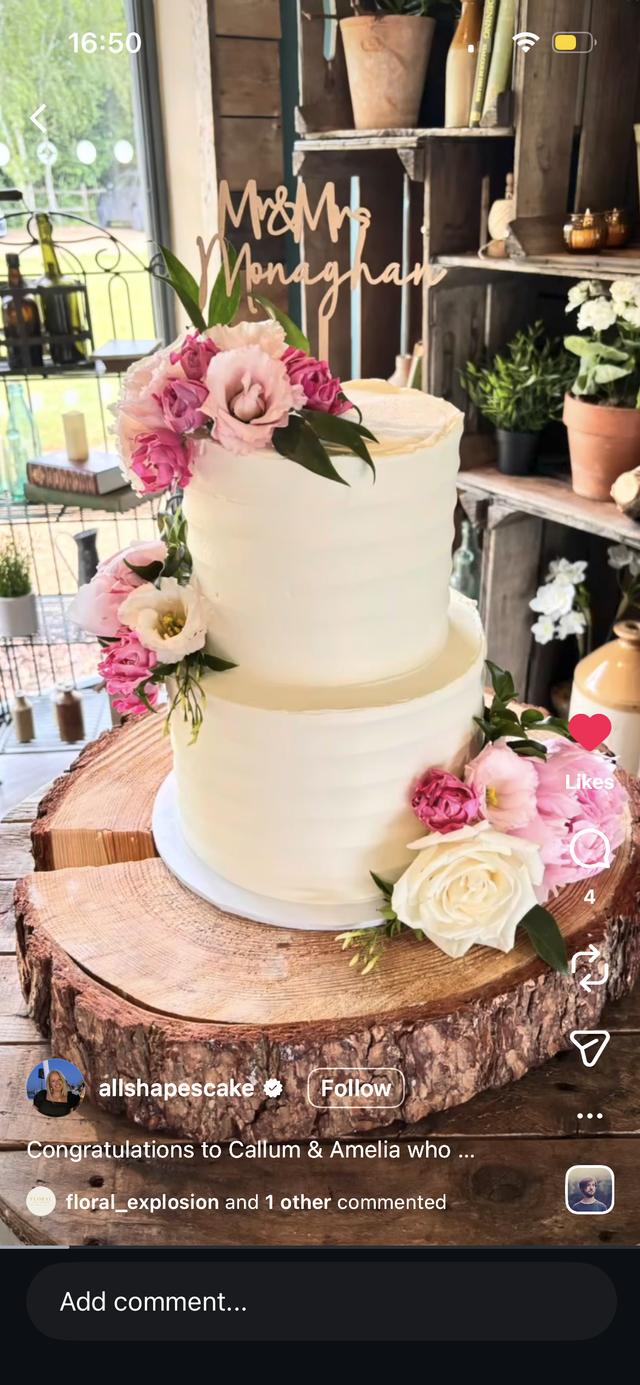 All Shapes & Slices Cake Co - 2