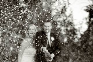 Photography By Lisa - 10