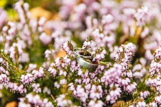 Hana Mikhail photography - 5