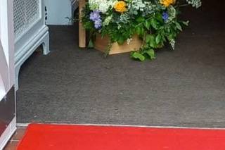 Upsidedowninaflowerbed - 8