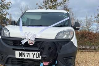 Campbell’s Canine Services - 2