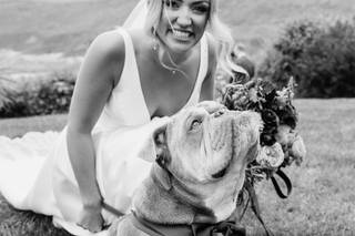 Andy Holter Photography - 9