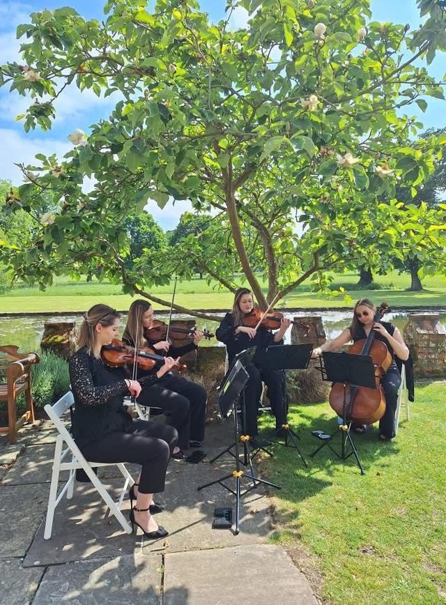 Artume String Quartet - 2