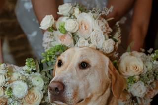 Kayleigh Specter Photography - 8