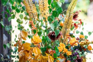 Beautiful Blooms - 23