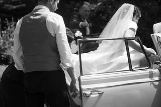 Ella Daisy Photo - 8