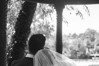 Ella Daisy Photo - 9