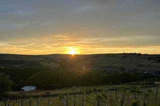 Holmfirth Vineyard - 9