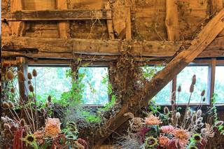 Frankie Lane Flowers - 10
