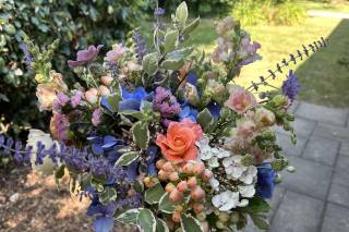 Uphill Farm - Walled Garden & Barn - 7