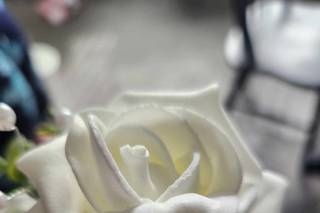 AbigailRose - 5