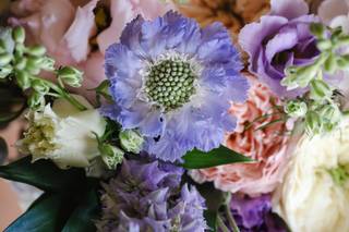 Floral Explosion - 7