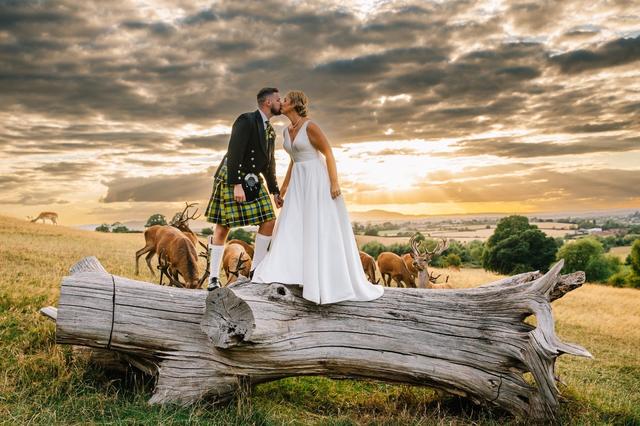 Lisa-Marie Halliday Photography - 1