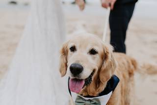 Hannah Timm Photography - 9