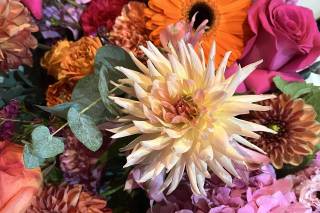 Purple Haze Flowers - 7