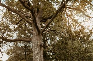 Becky Goligy Photographer - 5