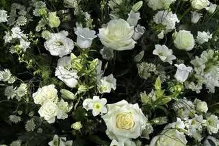 Petals and Posies - 7