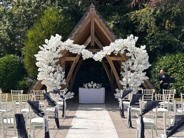 Wedding Violinist - 3