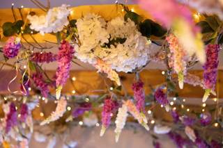 Kirsty Cox Photography - 12