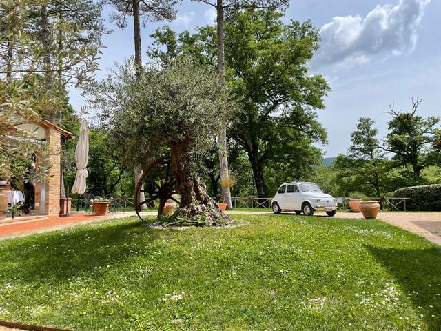 Agriturismo & Casale San Galgano - 4