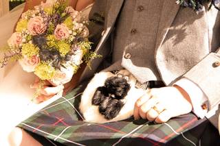 Catherine Cronin Photography - 5