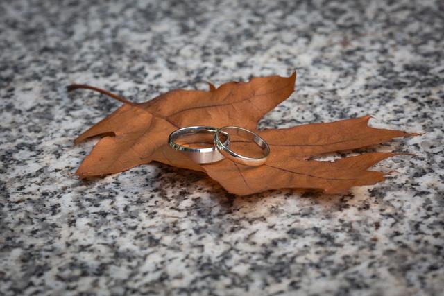 The Belmont Hotel - 4