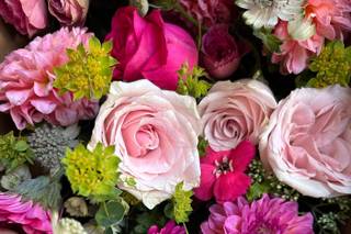 Posy Posy Ltd - 8