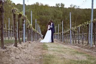 Leonardslee Wine Estate - 6