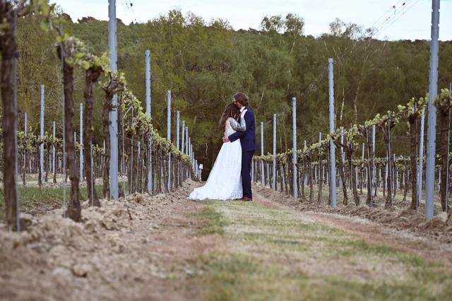 Leonardslee Wine Estate - 3