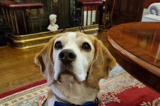 BOW-Tiful by Kate - 8