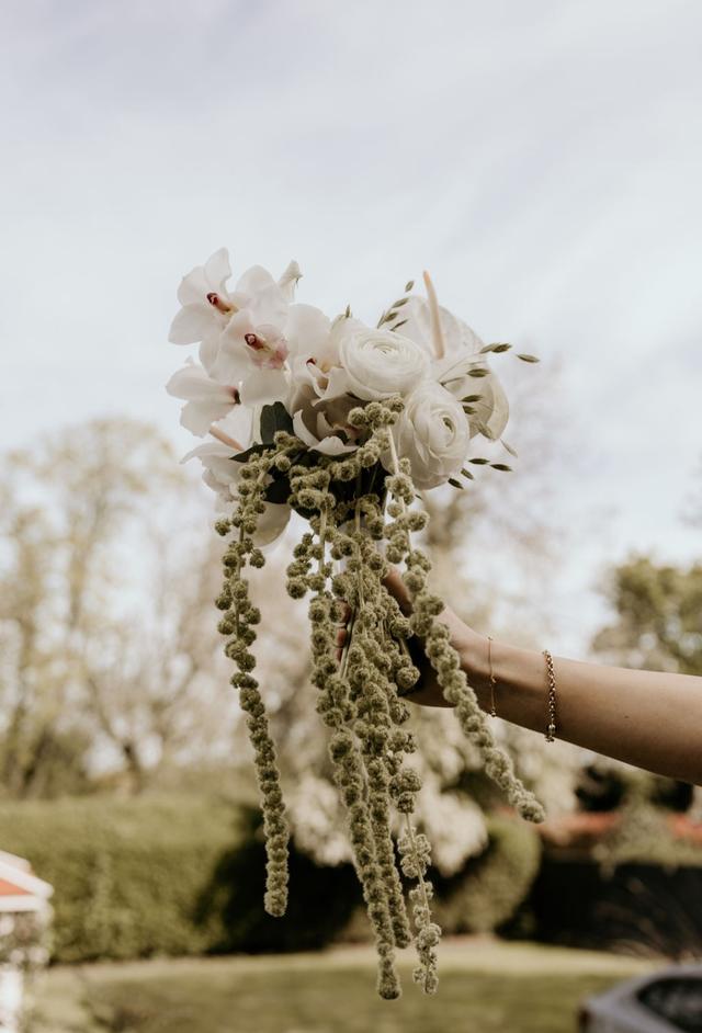 Blossoms and Co. - 2