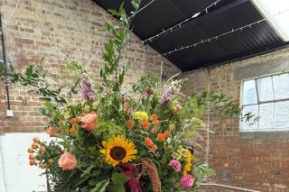 Flowers Evolution - 5