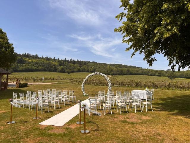 Denbies Wine Estate - 1