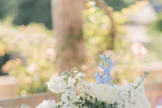 Lottie Rose Designs - 6